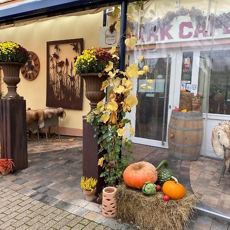 Ferienwohnungen Park Cafe Am Kurpark Bernkastel-Kues Bagian luar foto